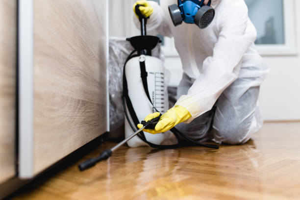 Best Affordable Pest Control Services  in Gainesboro, TN