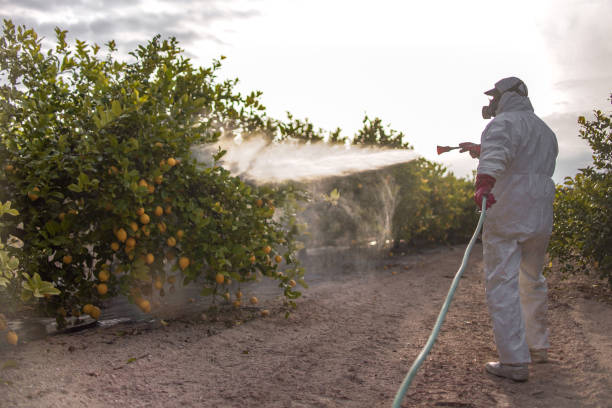 Best Best Pest Control Companies  in Gainesboro, TN