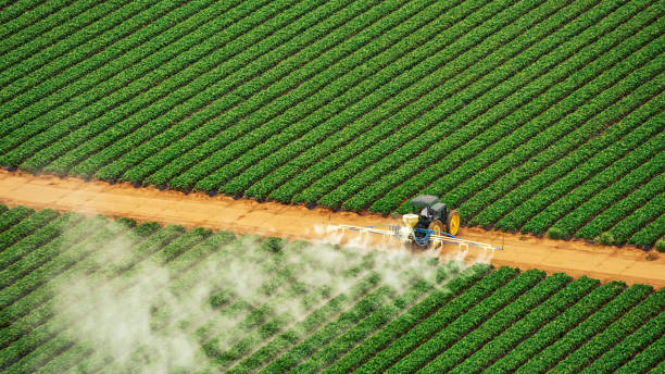Best Pest Control Treatment  in Gainesboro, TN