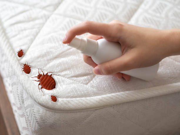Best Mosquito Control Services  in Gainesboro, TN