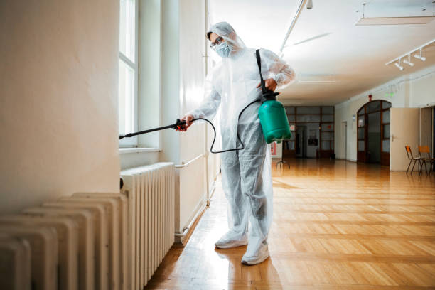 Best Rat Extermination Near Me  in Gainesboro, TN