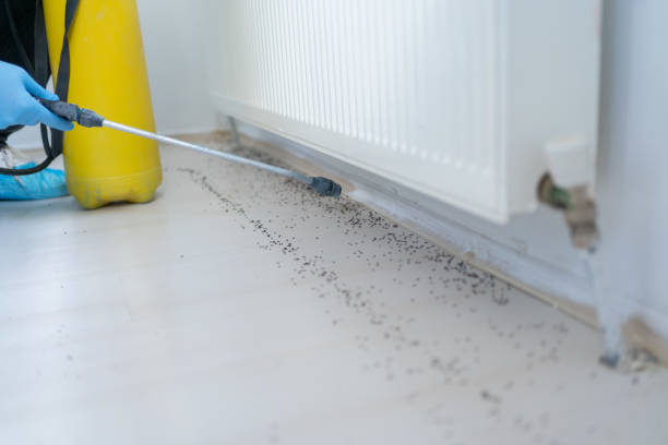 Pest Control for Restaurants in Gainesboro, TN